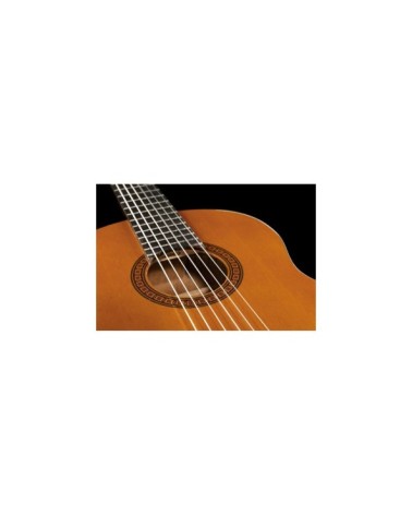 Guitarra Clásica Yamaha CGS102A 02 Natural