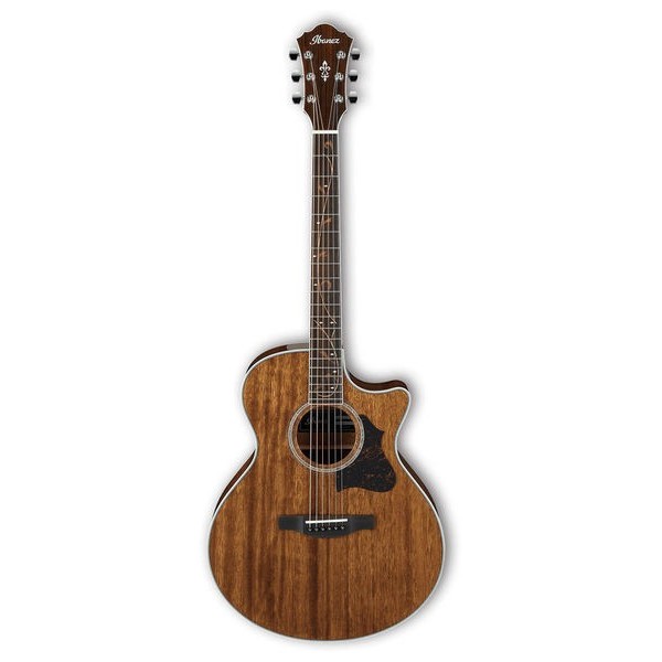 Guitarra Acústica Ibanez AE245-NT Mahogany
