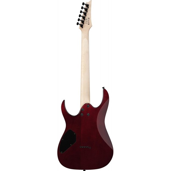 Guitarra Eléctrica Ibanez GRGR221PAAQB