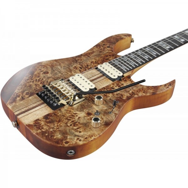 Guitarra Eléctrica Ibanez RGT1220PB ABS RG Premium Antique Brown Stained