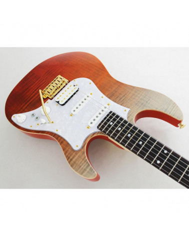 Guitarra Eléctrica Fujigen FGN Serie Odyssey Expert Color Ripe Kaki Gradiation