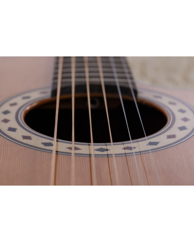 Guitarra Alhambra Fusión Acoustic + Classic CSs-3 CW E9 Cutaway Electrificada