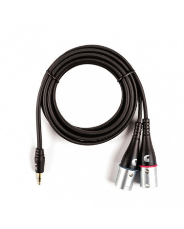 Cables De Audio D'Addario De 1/8" A XLR Dual Custom Series PW-MPXLR-06