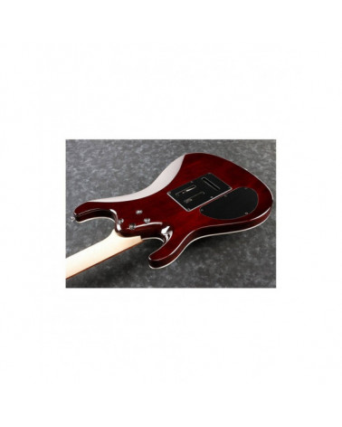 Guitarra Eléctrica Ibanez SA260FMTGB Transparent Gray Burst