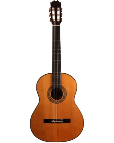 Guitarra Clásica Antonio De Toledo En Ciricote Con Tapa De Cedro AT-19C Con Estuche